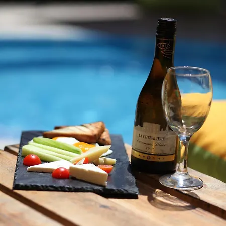 Salena 普里莫尔斯科