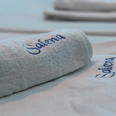 酒店 Salena 普里莫尔斯科